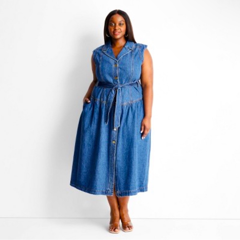 Sleeveless Denim Button-Front Midi Dress - Future Collective with Jenee Naylor